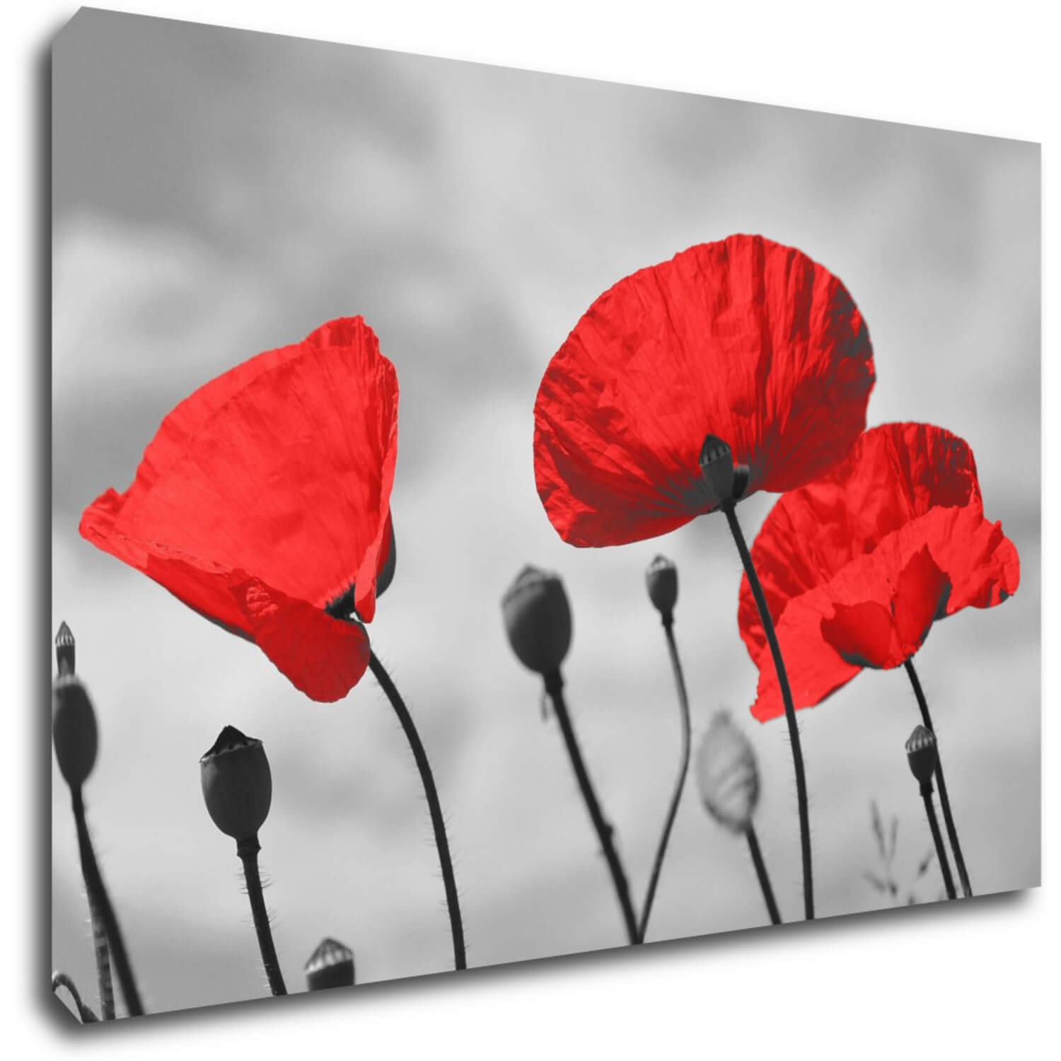 Tablou Poppy - 90 x 60 cm