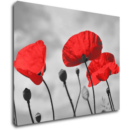 Tablou Poppy - 90 x 70 cm