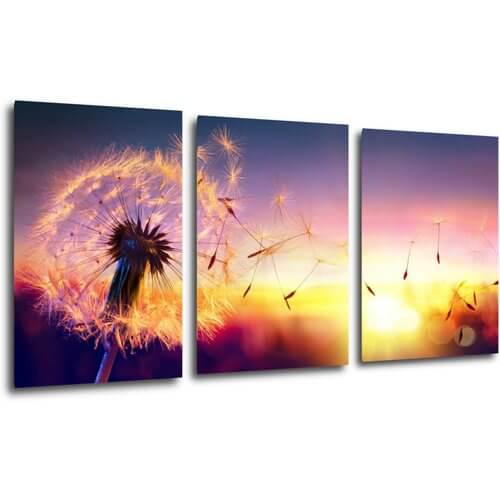 Tablou Dandelion and sunset - 120 x 60 cm (3-piese)