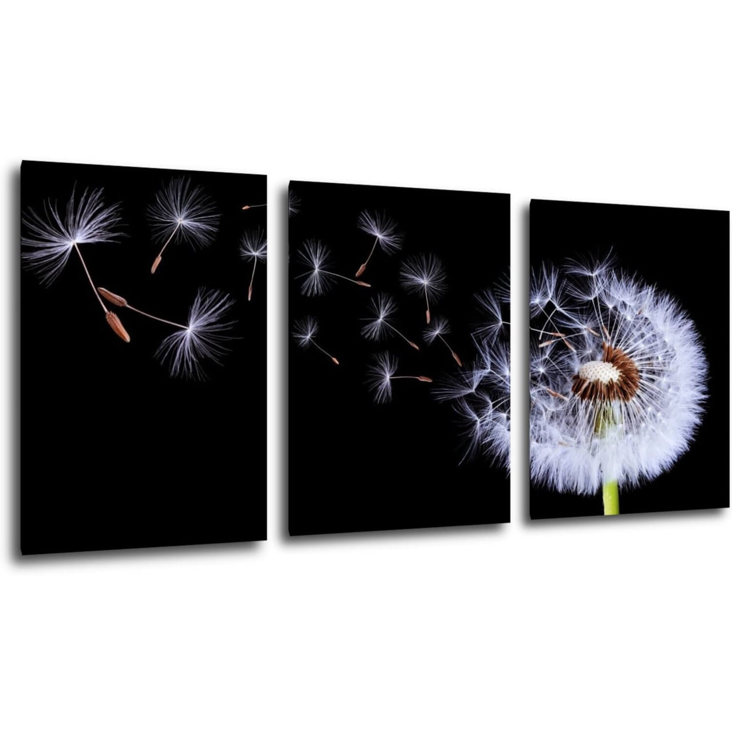 Tablou Dandelion black and green - 150 x 70 cm (3-piese)