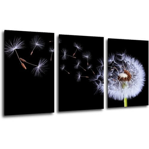 Tablou Dandelion black and green - 120 x 60 cm (3-piese)