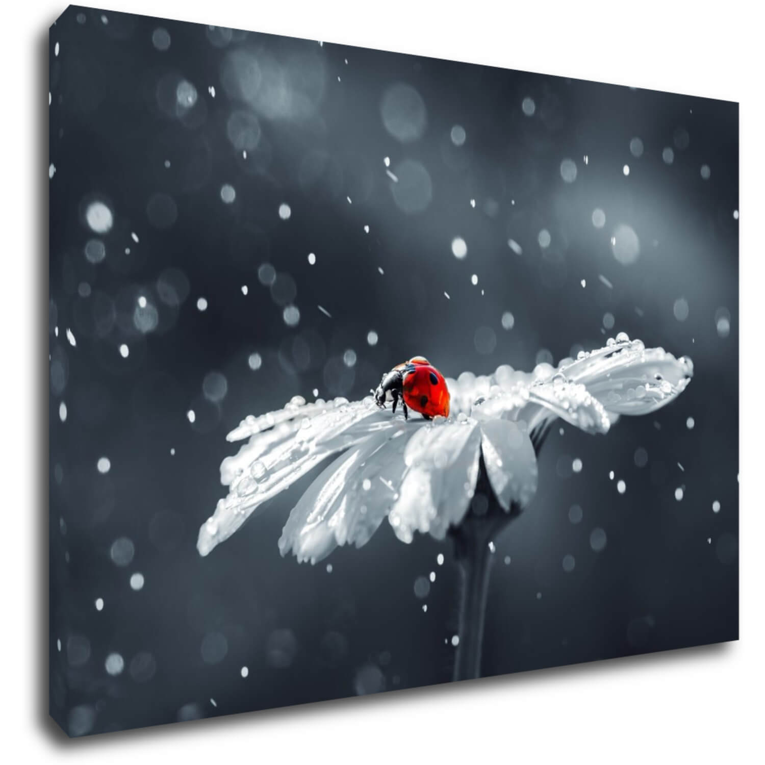 Tablou Lady bug on the flower - 60 x 40 cm
