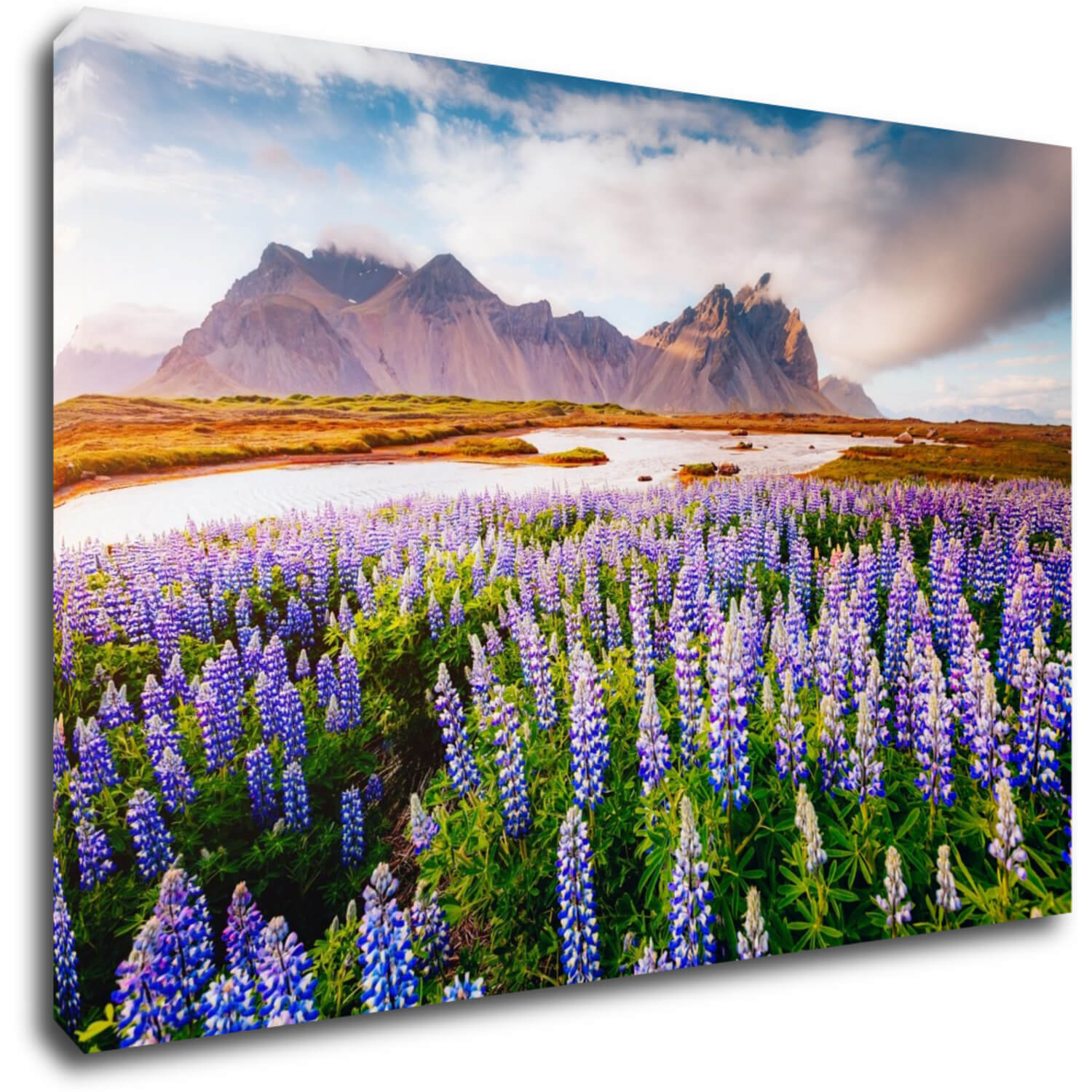 Tablou Lila blossoming flowers - 90 x 60 cm