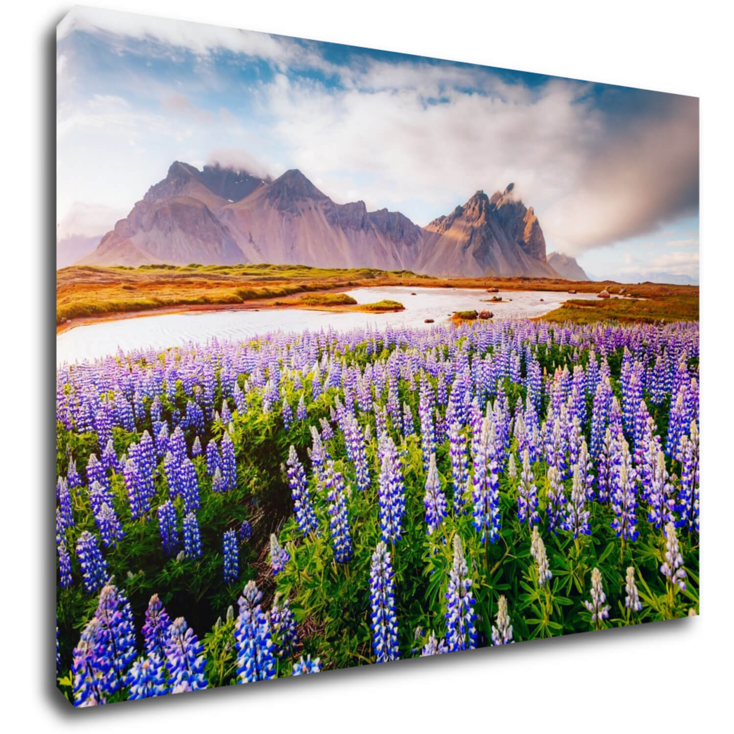 Tablou Lila blossoming flowers - 70 x 50 cm