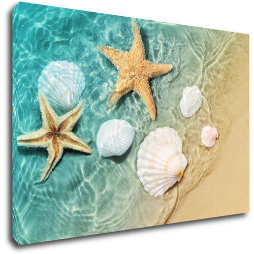Tablou Shells by the sea