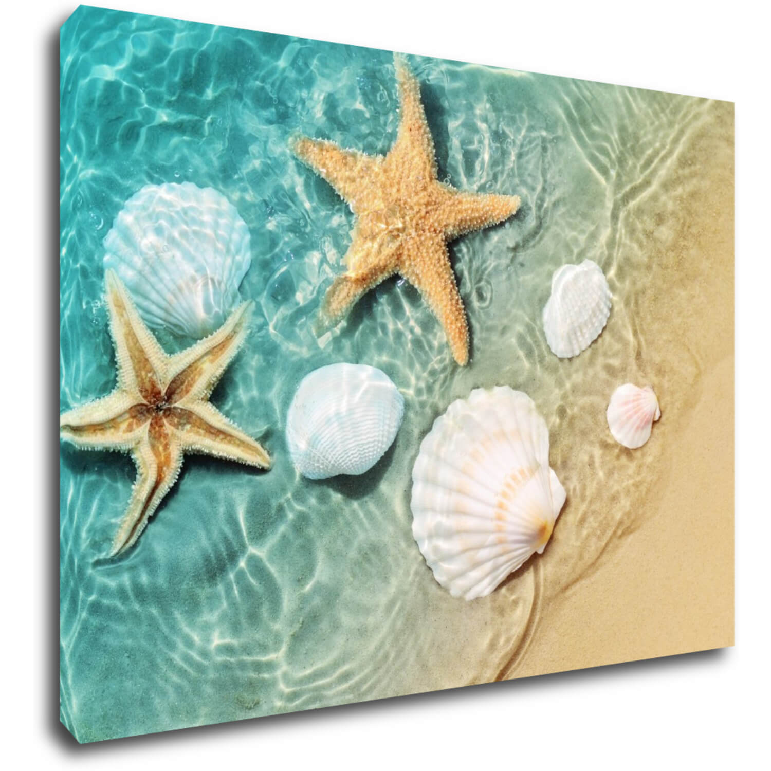 Tablou Shells by the sea - 70 x 50 cm