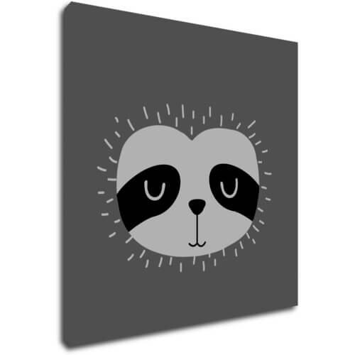 Obraz Little sloth - 30 x 30 cm