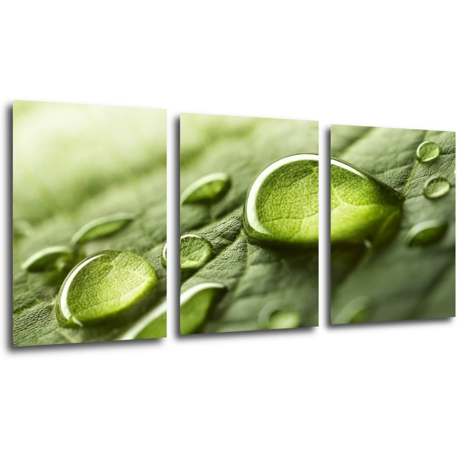 Tablou Drops of water on the leaf - 150 x 70 cm (3-piese)