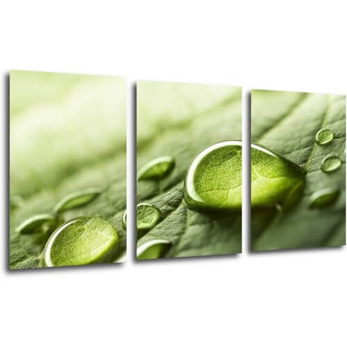 Tablou Drops of water on the leaf - 120 x 60 cm (3-piese)