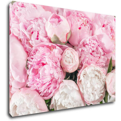 Tablou Pinky flowers - 70 x 50 cm