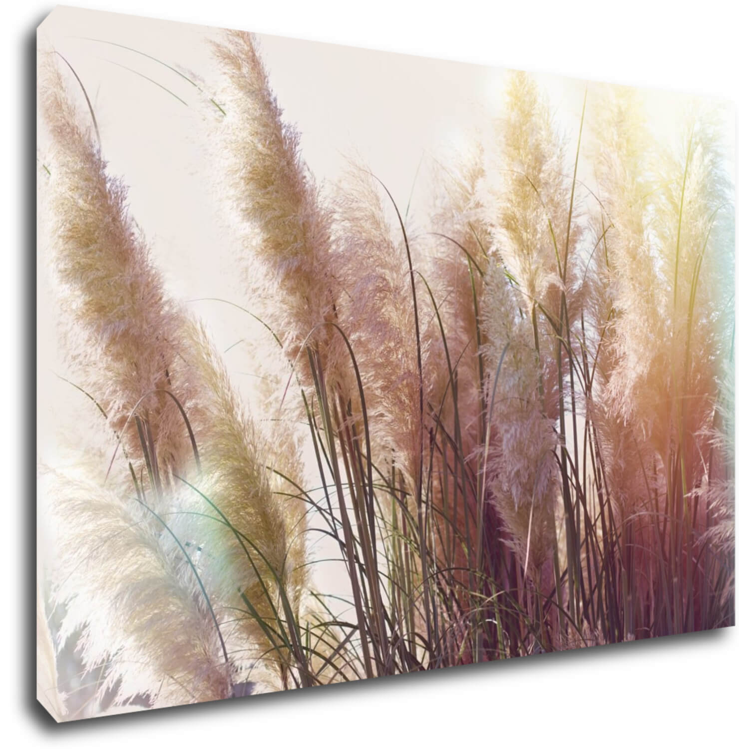 Tablou Grass - 90 x 60 cm