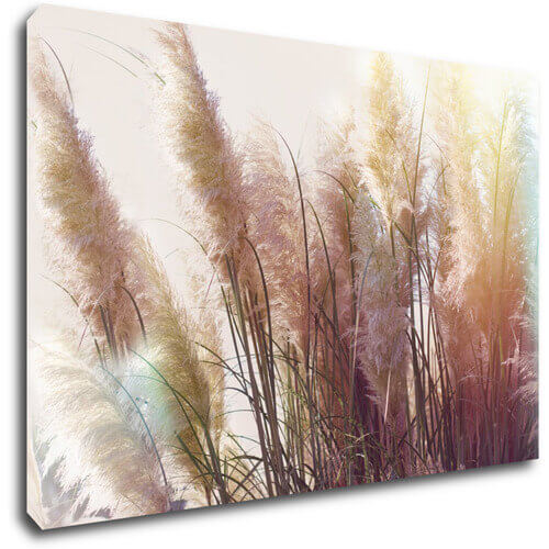 Tablou Grass