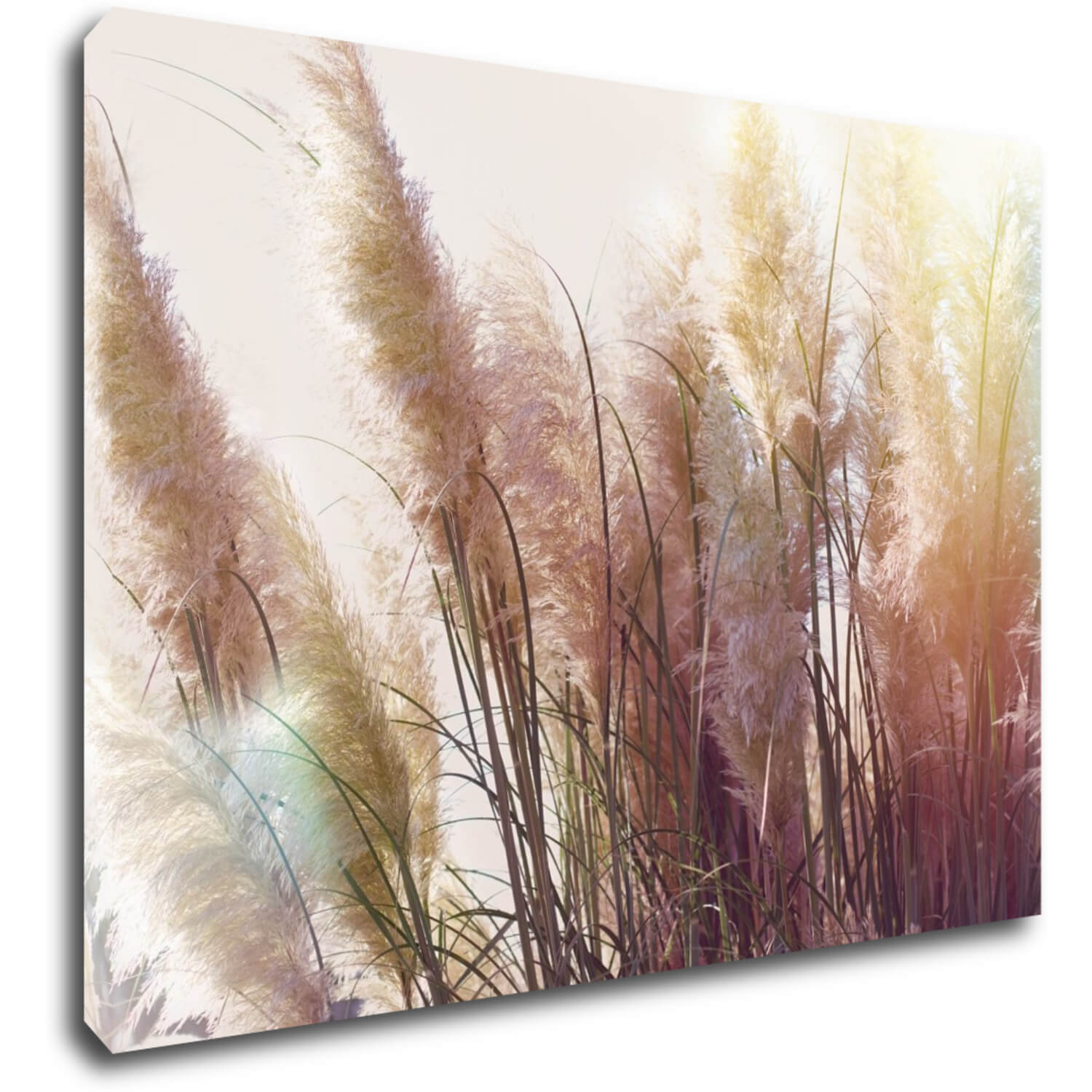 Tablou Grass - 70 x 50 cm