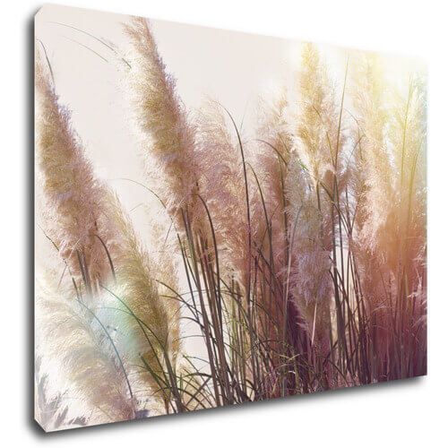 Tablou Grass - 70 x 50 cm