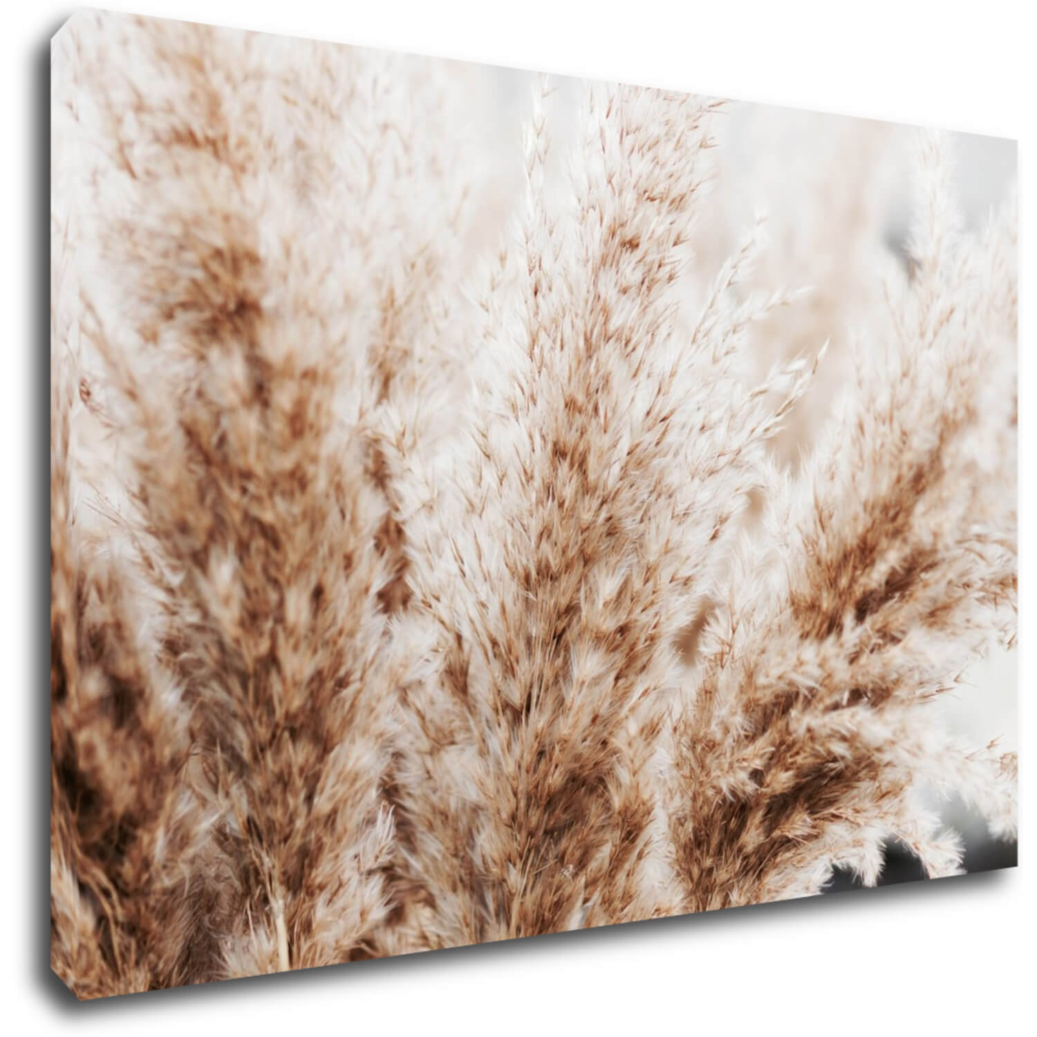 Tablou Dry flowers detail - 60 x 40 cm