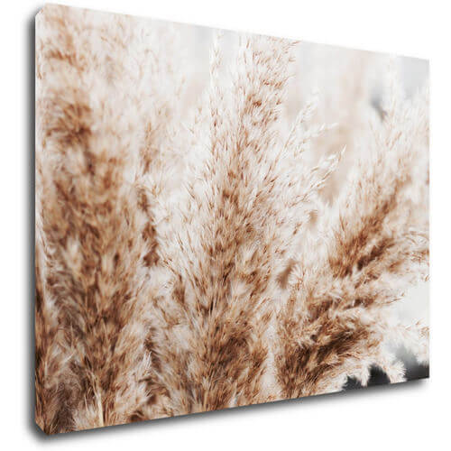 Tablou Dry flowers detail - 70 x 50 cm