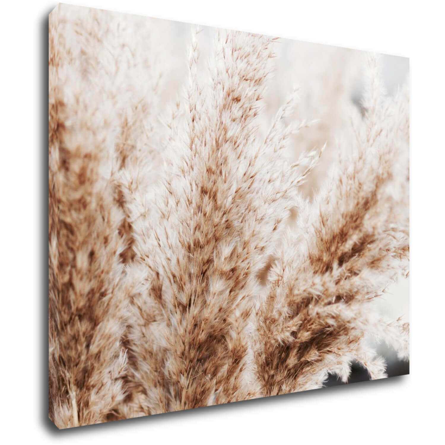Tablou Dry flowers detail - 90 x 70 cm