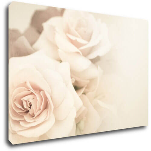 Tablou White roses