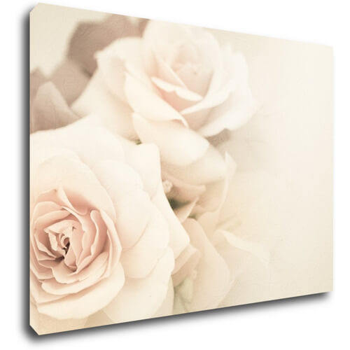 Tablou White roses - 70 x 50 cm