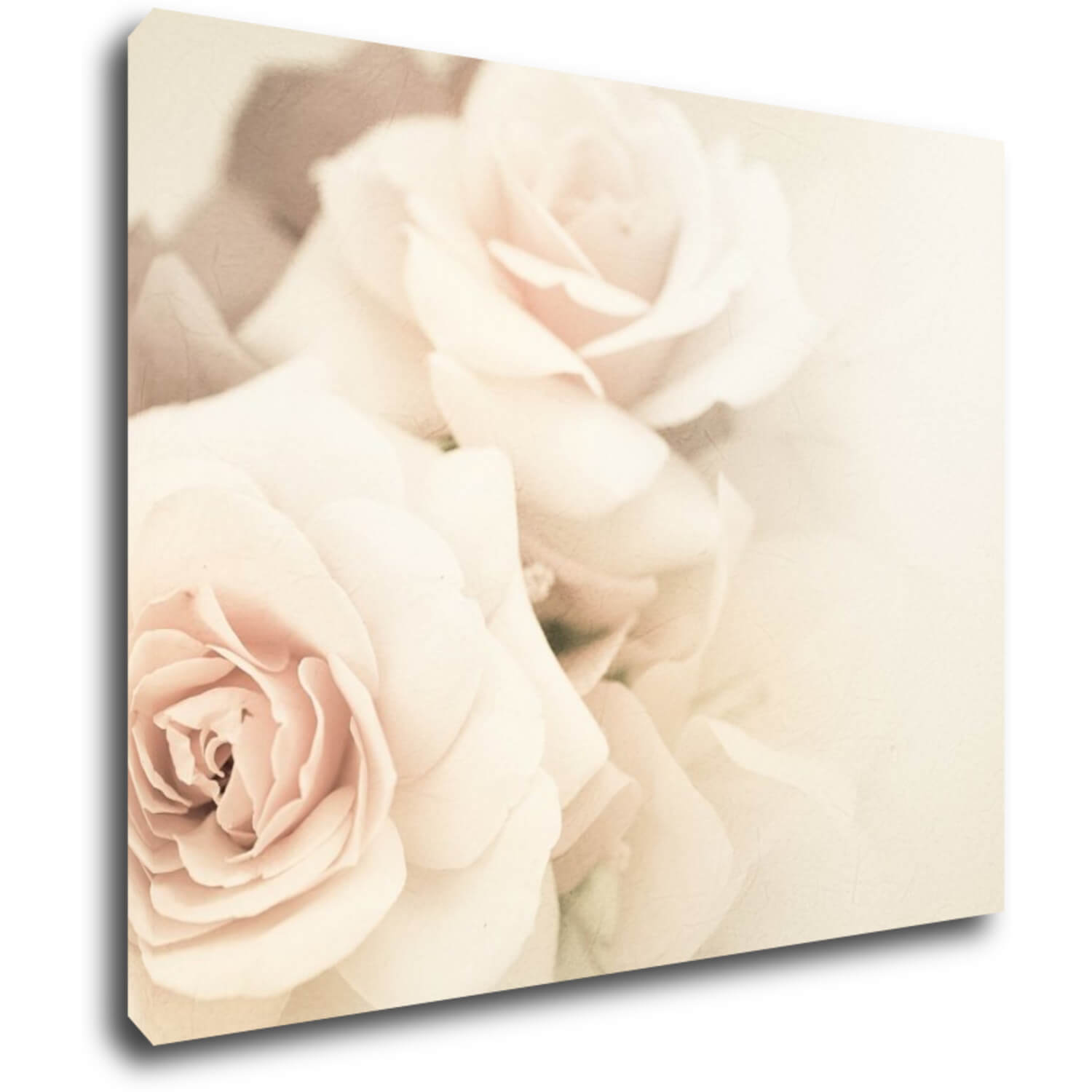 Tablou White roses - 90 x 70 cm