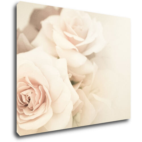 Tablou White roses - 90 x 70 cm