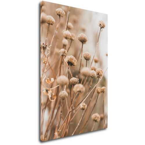 Tablou Scandinavian style dry grass - 60 x 90 cm