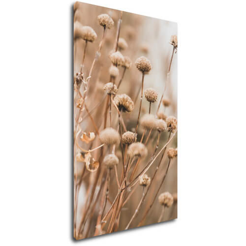 Tablou Scandinavian style dry grass