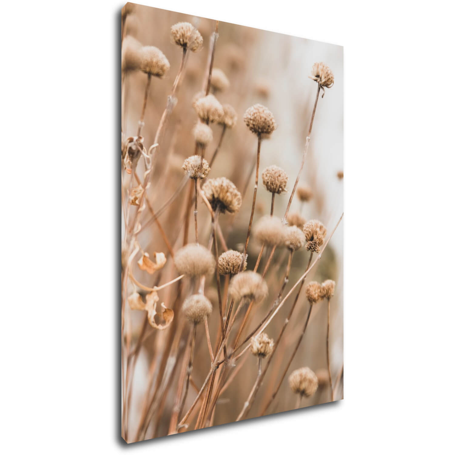Tablou Scandinavian style dry grass - 50 x 70 cm
