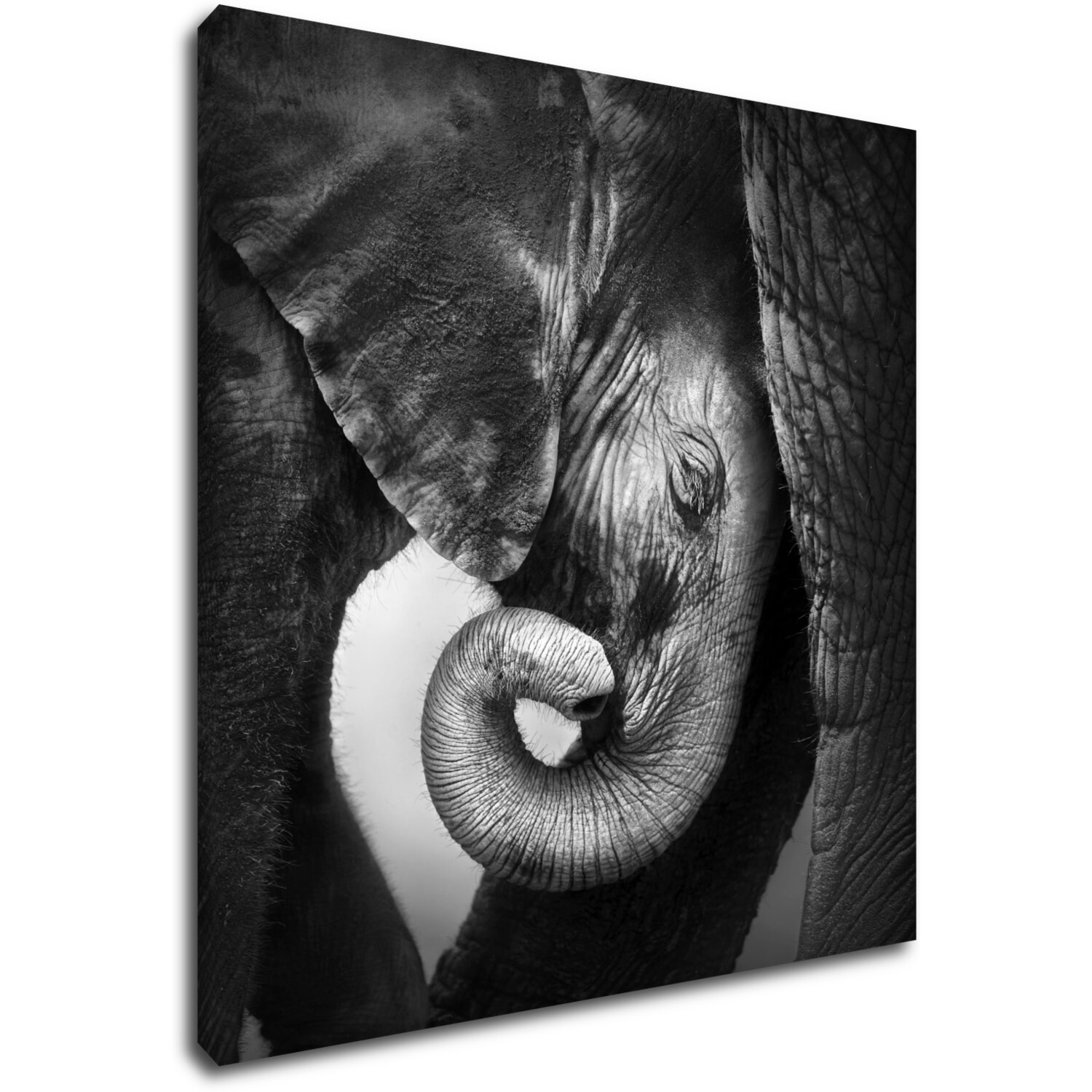 Tablou Elephant black and white - 90 x 90 cm