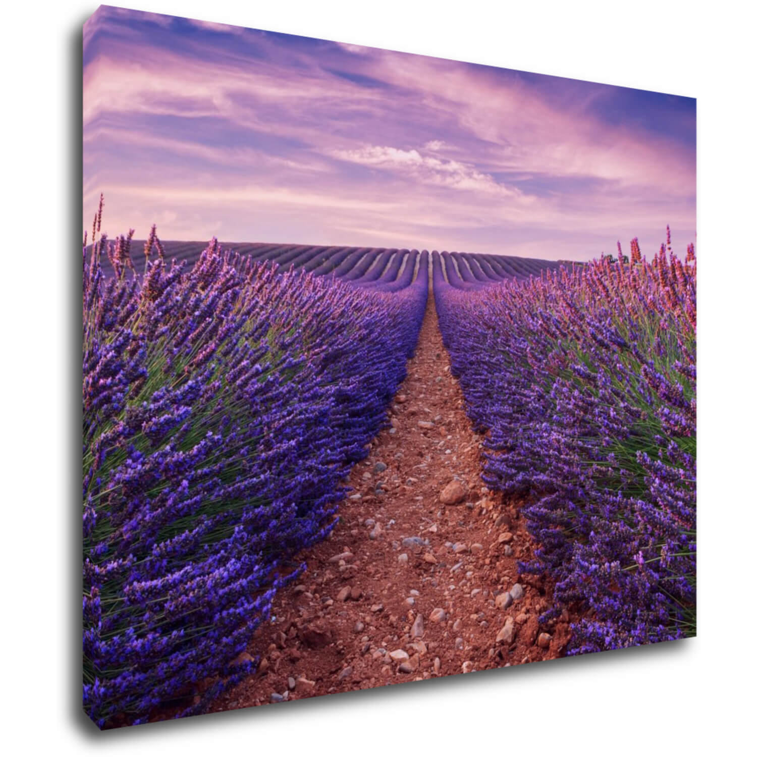 Tablou Lavender field - 90 x 70 cm
