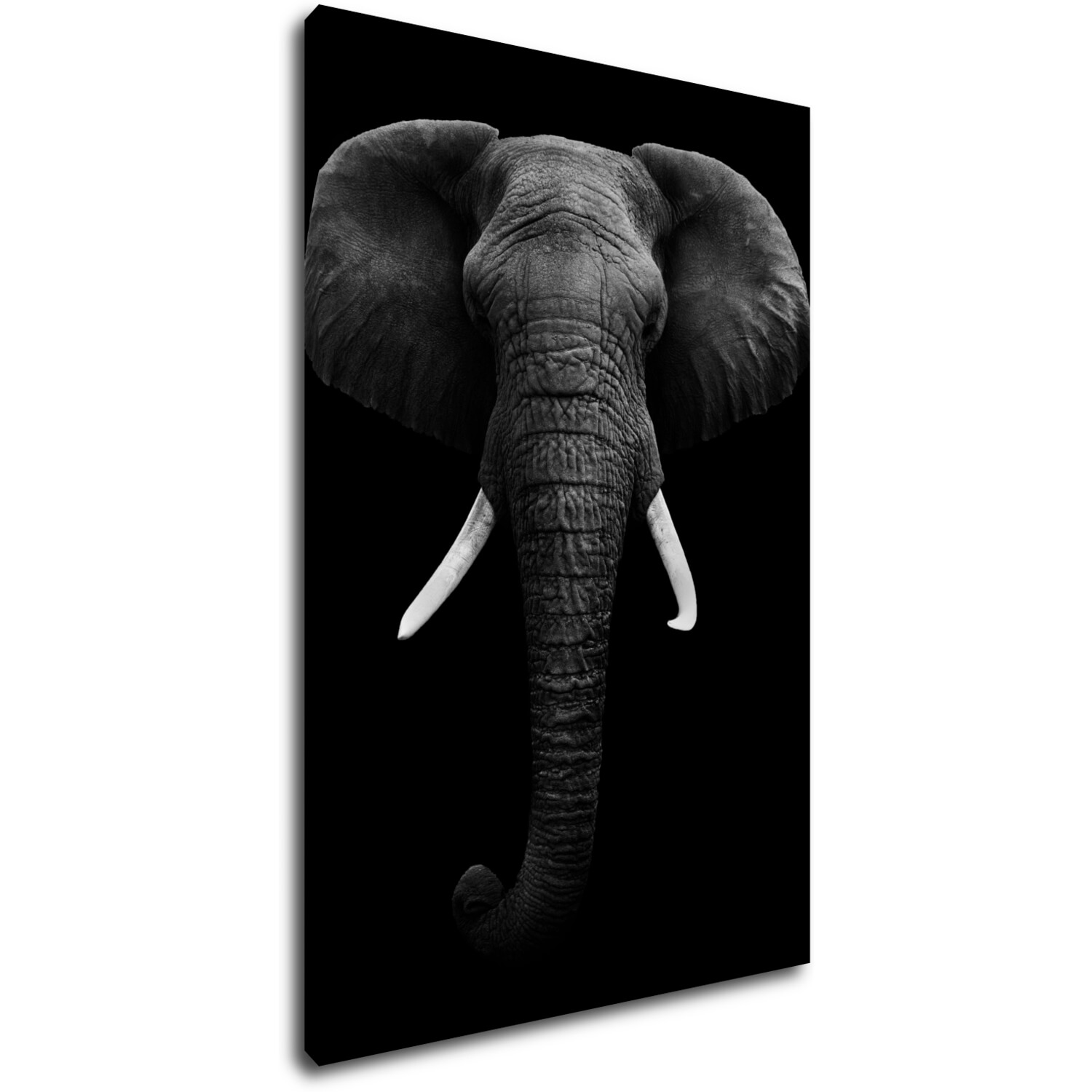 Tablou Elephant dark - 60 x 90 cm