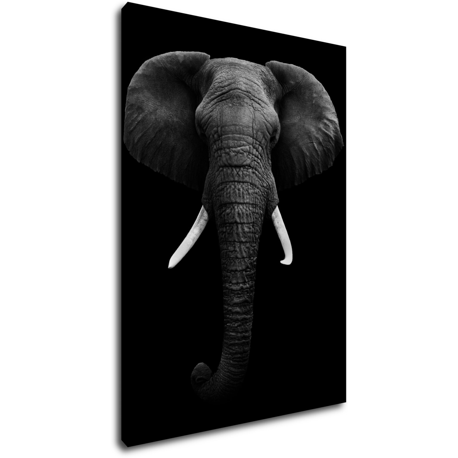 Tablou Elephant dark - 50 x 70 cm