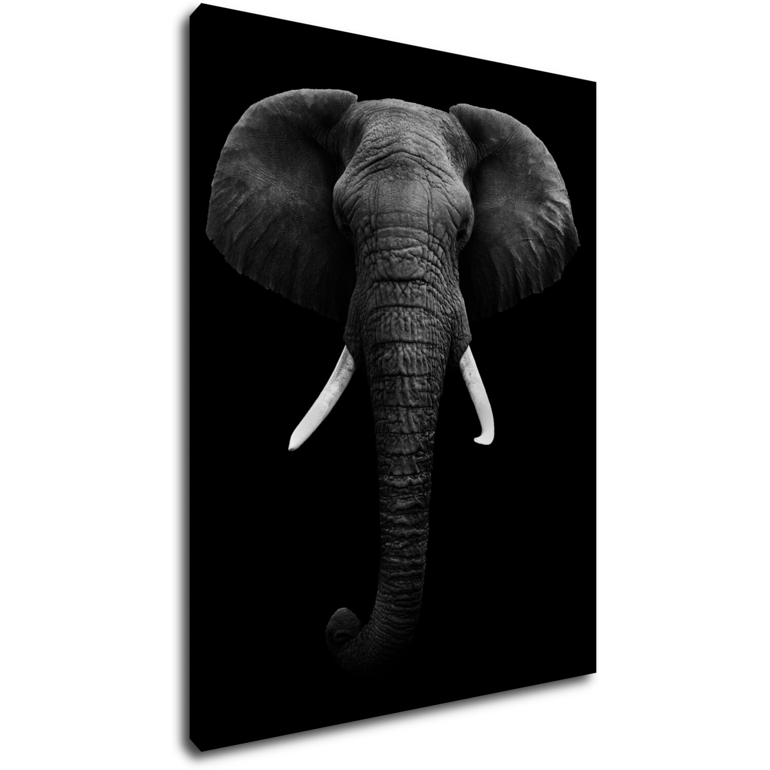 Tablou Elephant dark - 70 x 90 cm