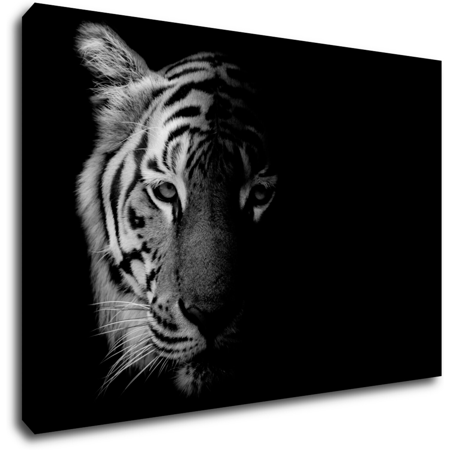 Tablou Tiger black and white - 60 x 40 cm