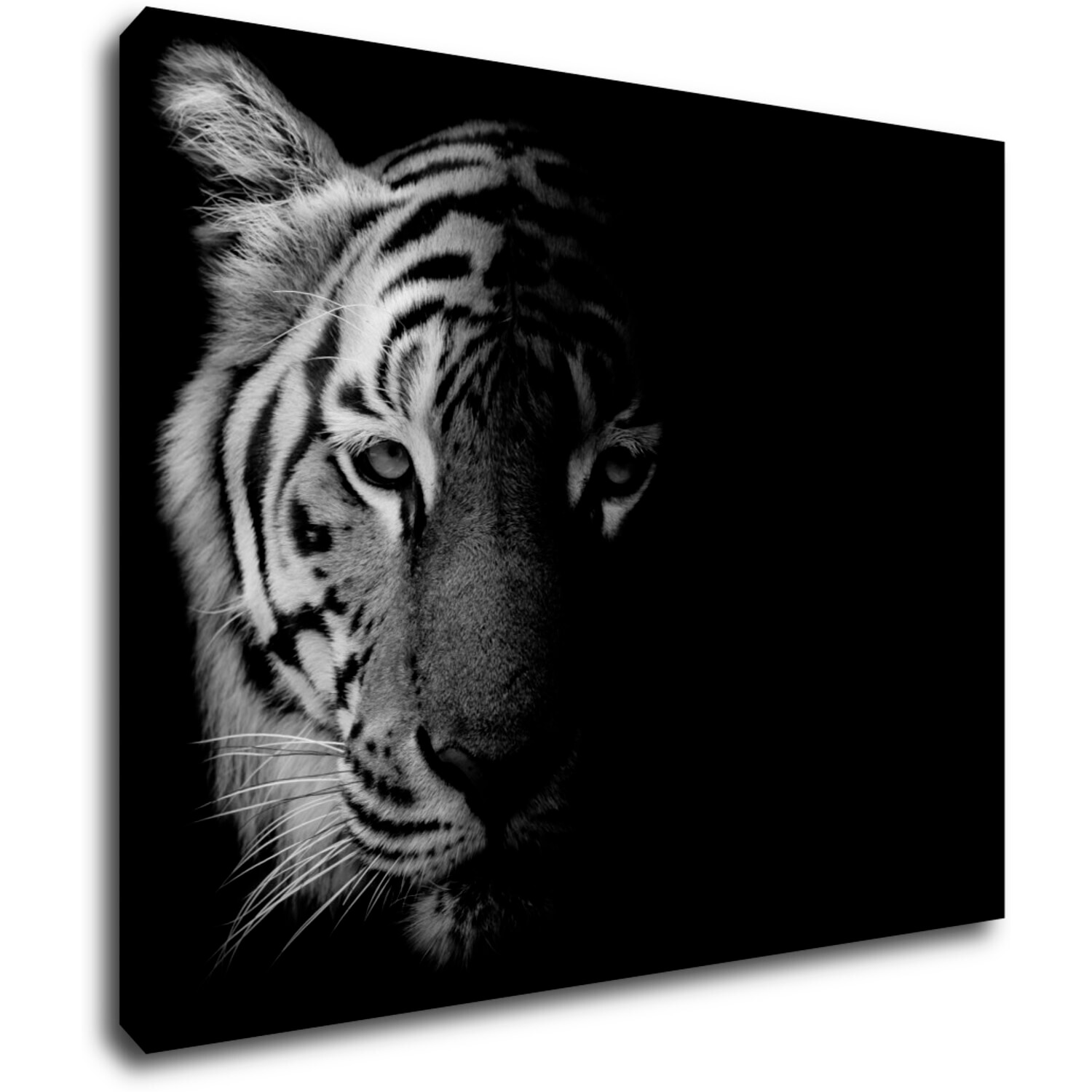Tablou Tiger black and white - 90 x 70 cm