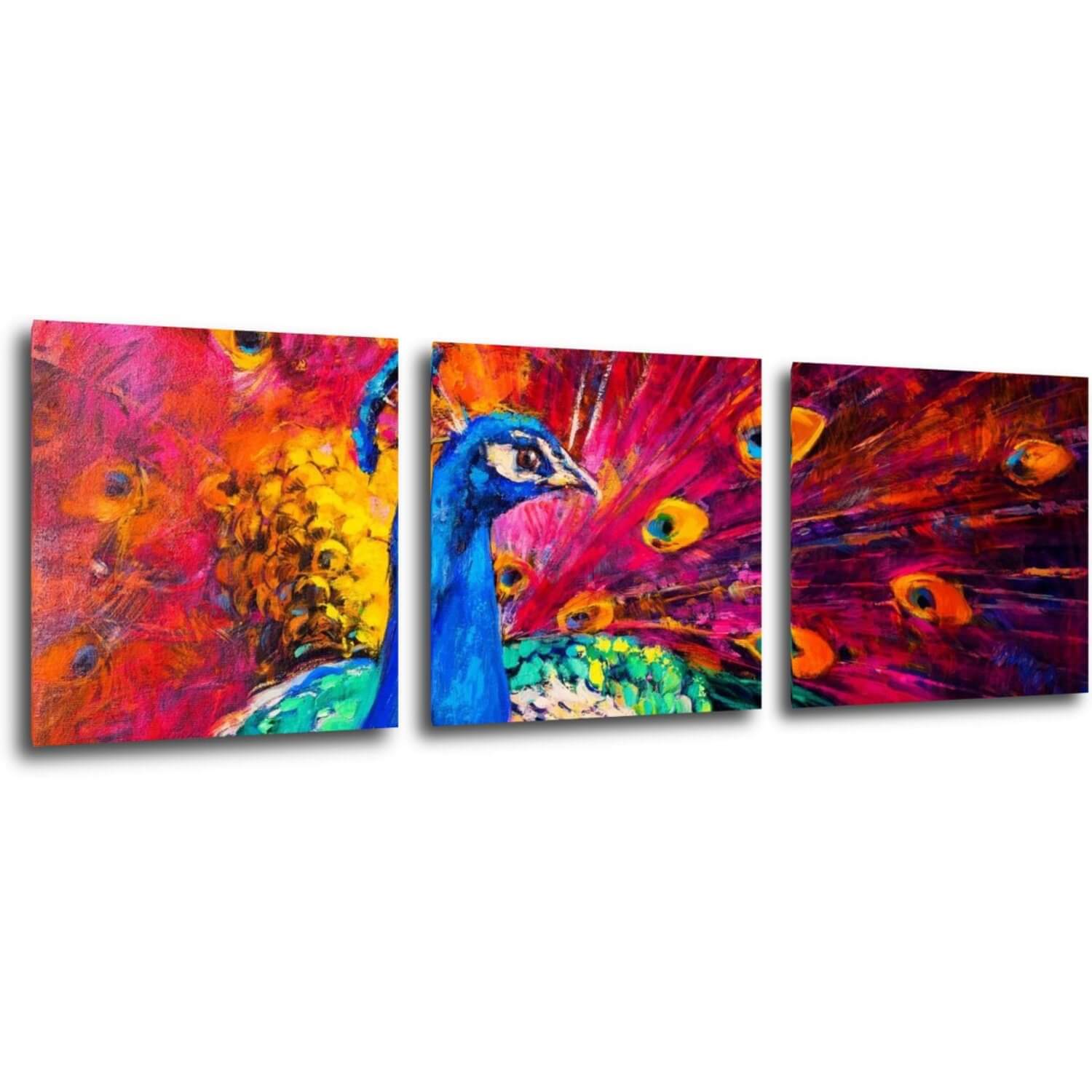 Tablou Colorful Peacock - 90 x 30 cm (3-piese)