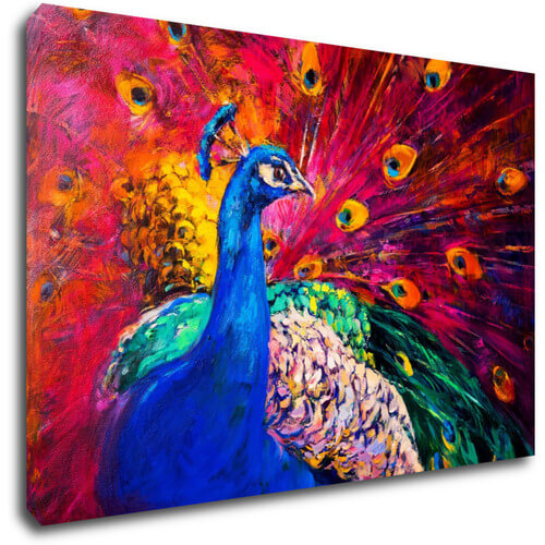 Tablou Colorful Peacock