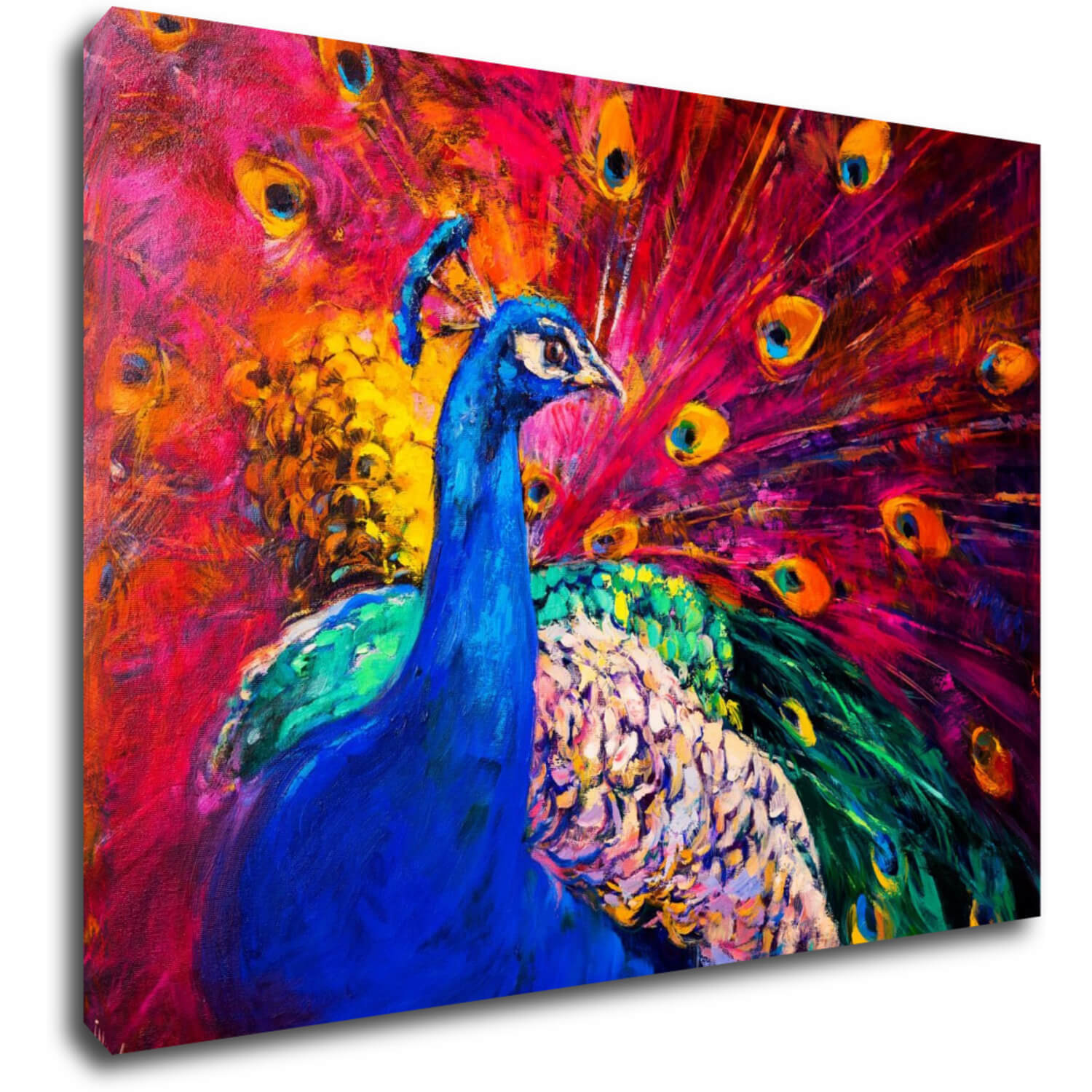 Tablou Colorful Peacock - 70 x 50 cm