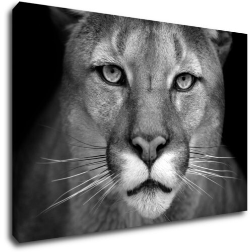 Tablou Beast - 90 x 60 cm