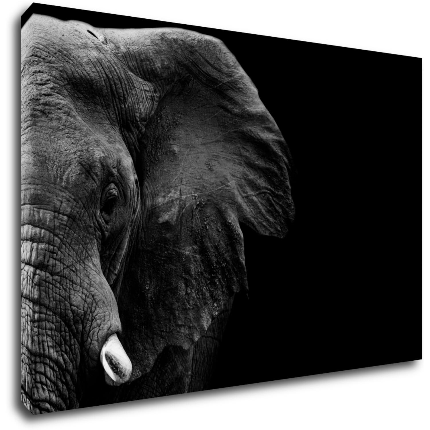 Tablou Elephant black background - 90 x 60 cm