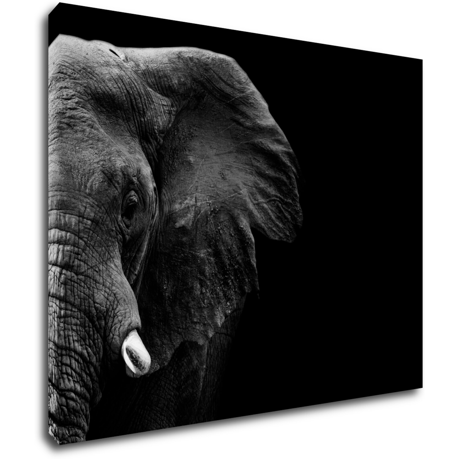 Tablou Elephant black background - 90 x 70 cm