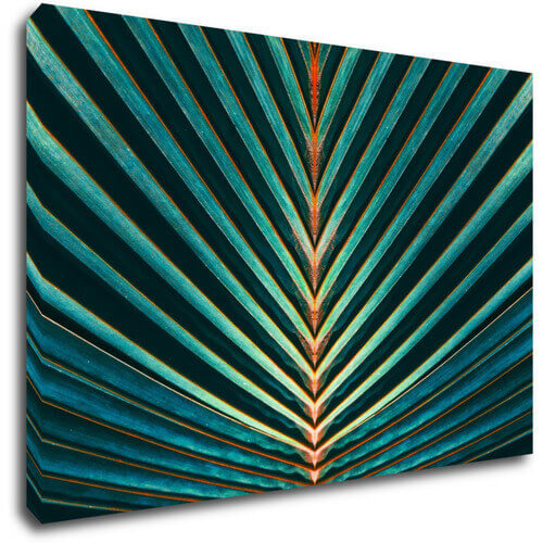 Tablou Palm leaf - 90 x 60 cm