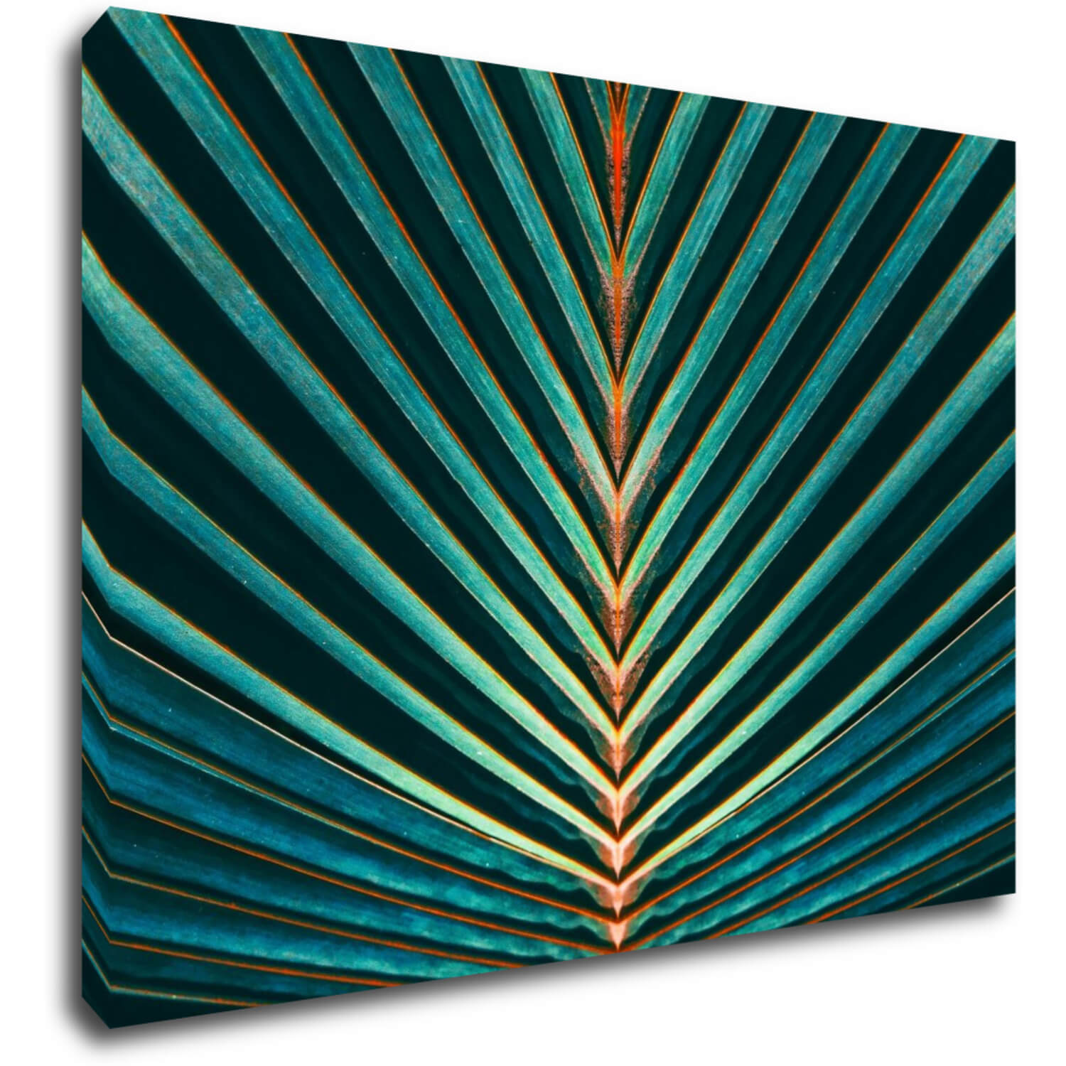 Tablou Palm leaf - 70 x 50 cm