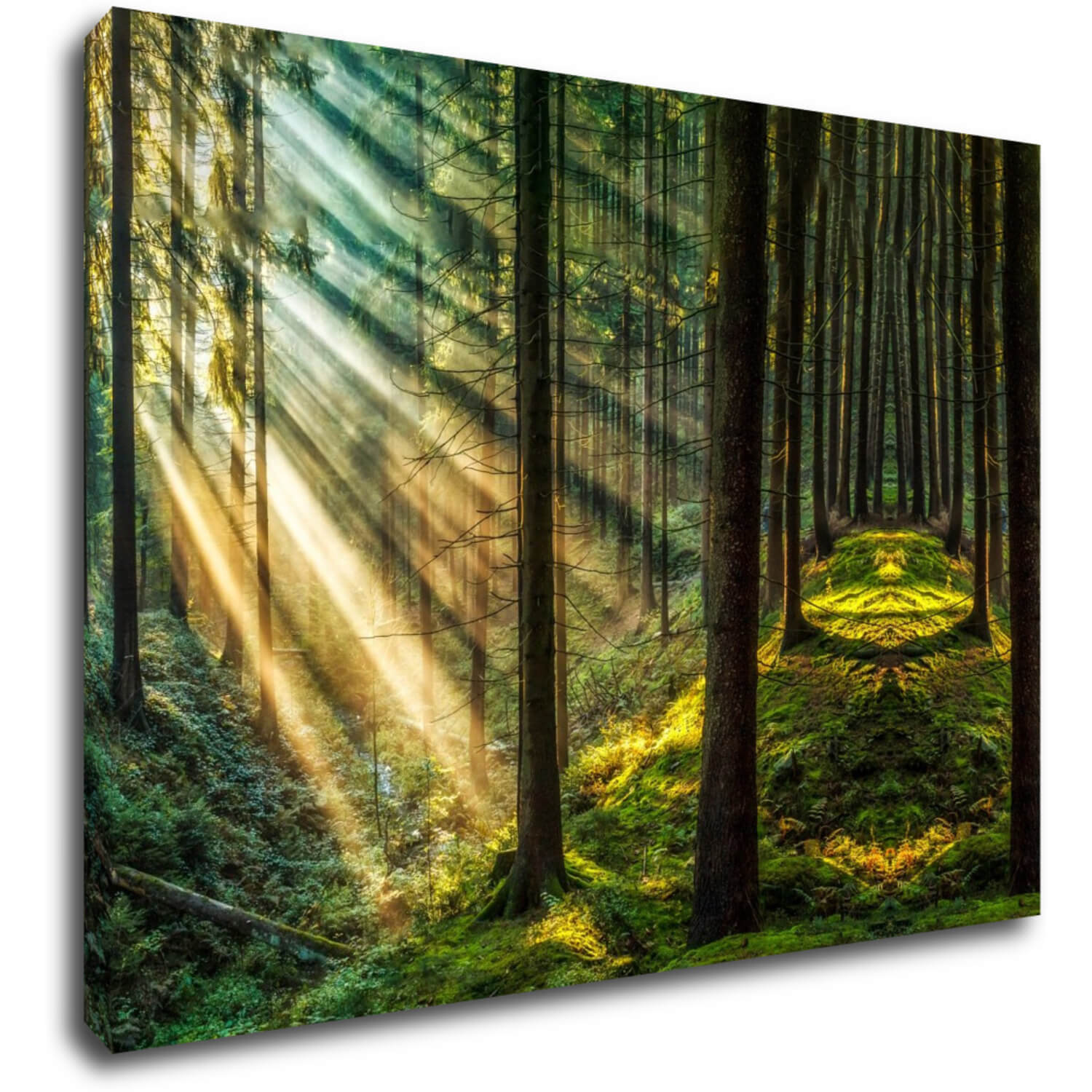 Tablou Beautiful forest - 70 x 50 cm