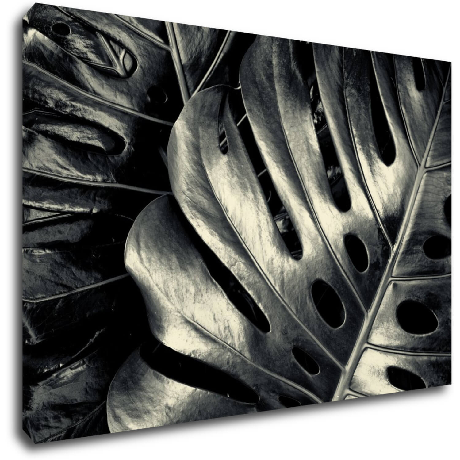 Tablou Black and white leafs - 90 x 60 cm