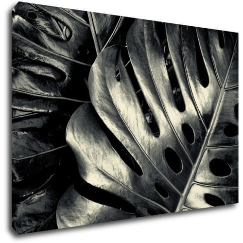 Tablou Black and white leafs