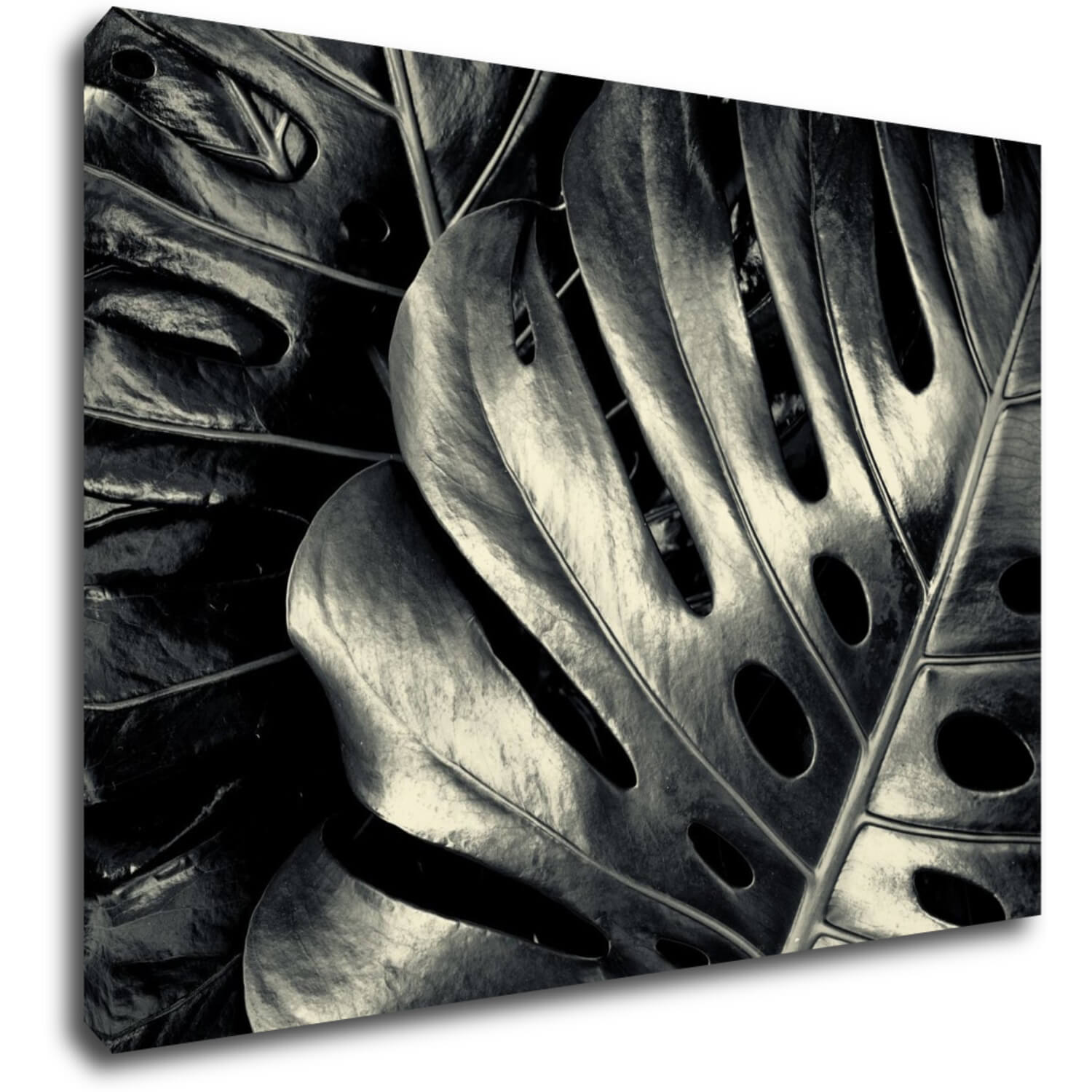 Tablou Black and white leafs - 70 x 50 cm