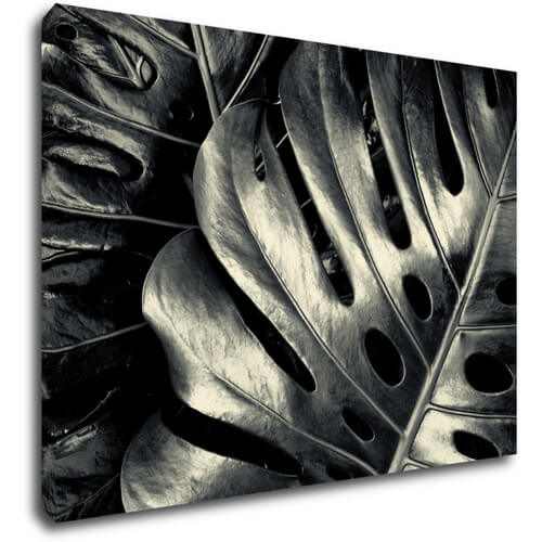 Tablou Black and white leafs - 70 x 50 cm