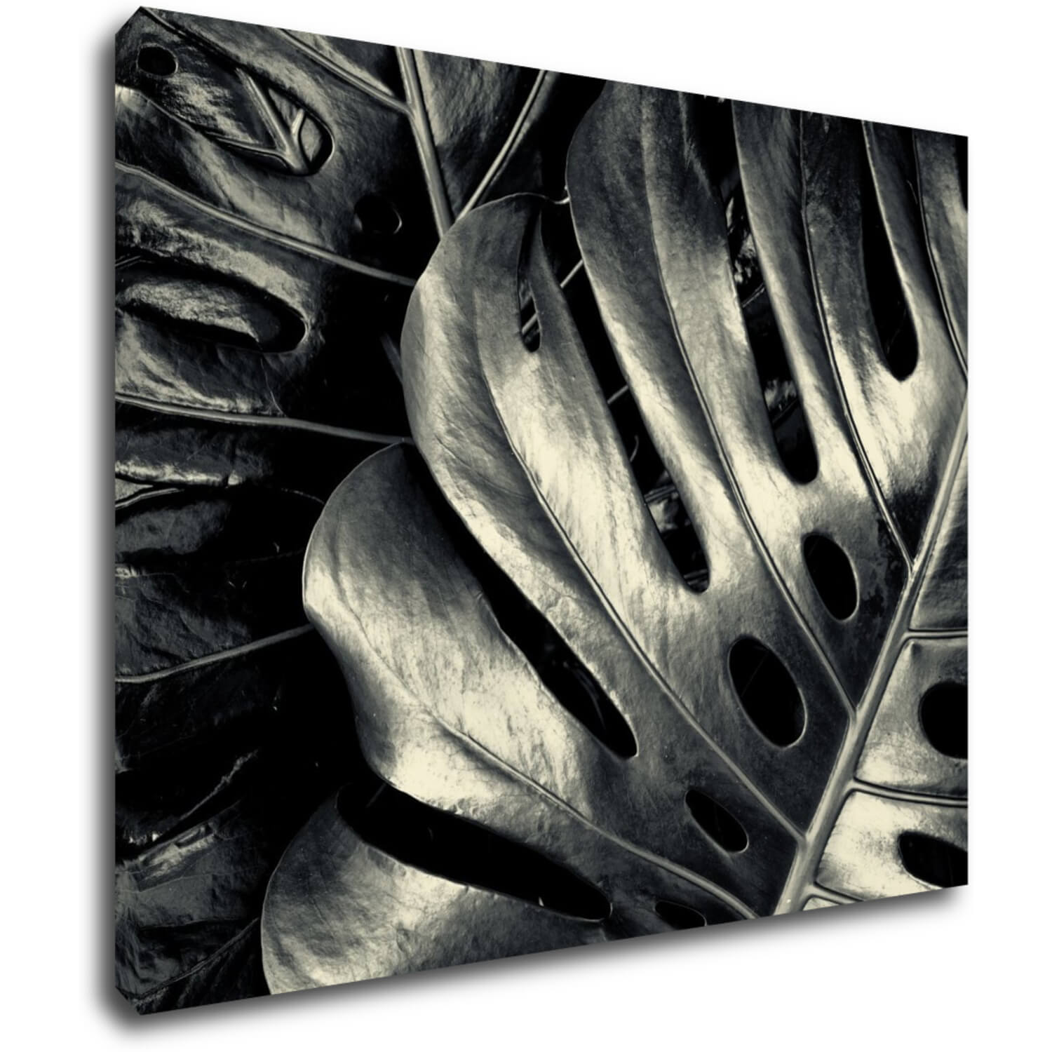 Tablou Black and white leafs - 90 x 70 cm