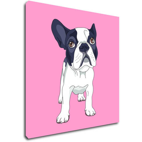 Tablou Frenchie pink background - 50 x 50 cm